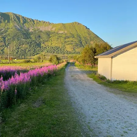 Linahuset Holiday home *